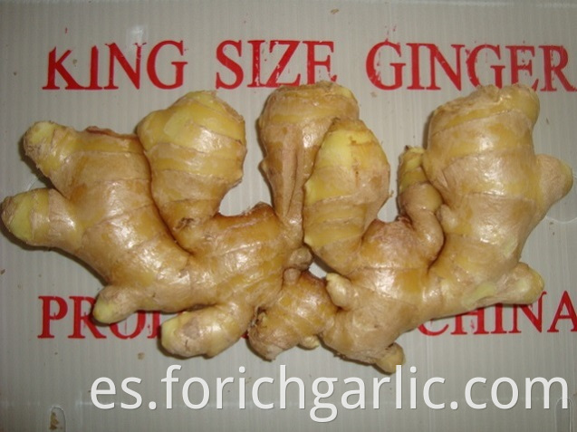 Air Dired Ginger